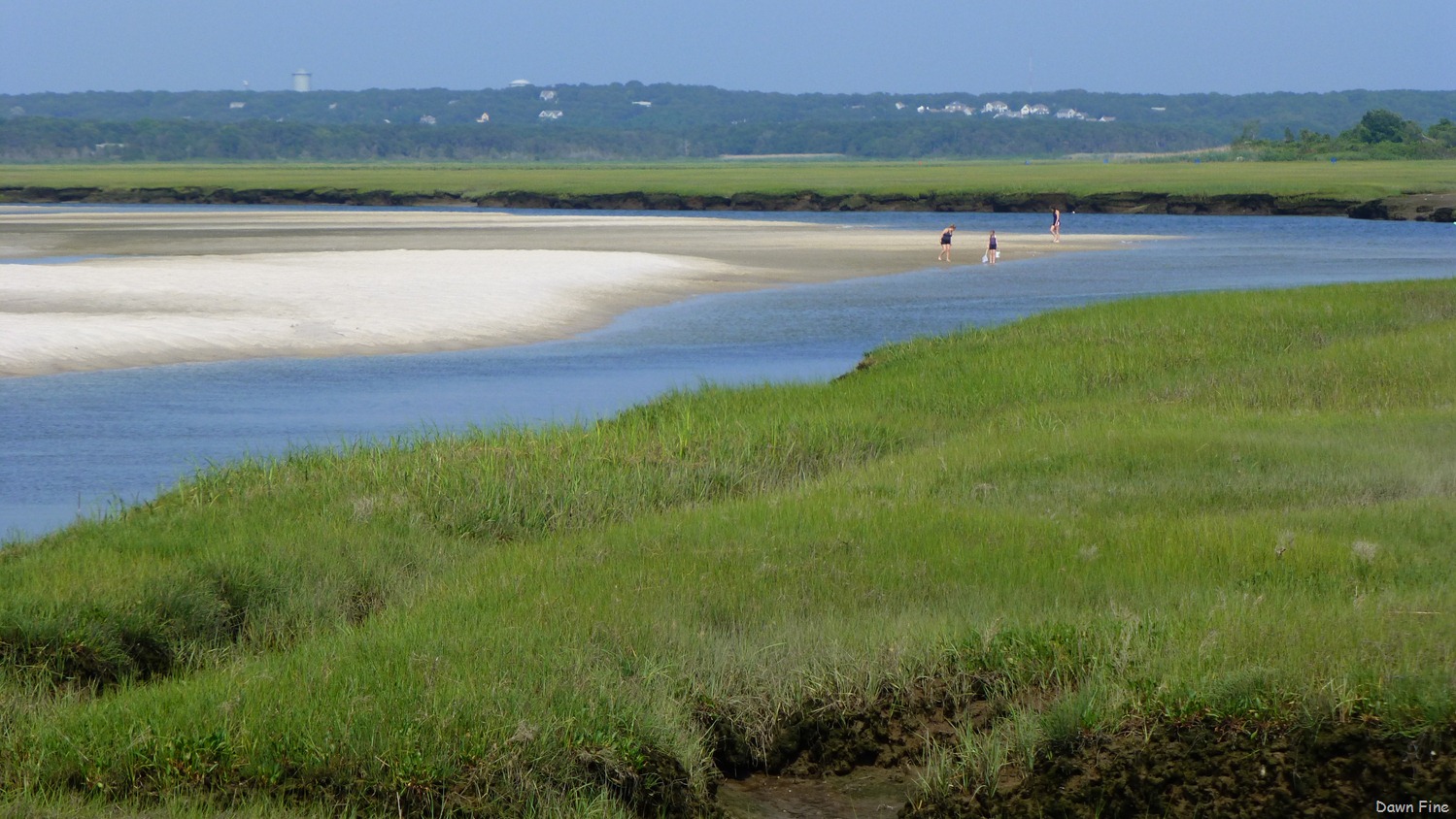 [Basshole%2520beach_019%255B3%255D.jpg]