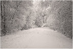 Teufelsmoor - Wintereinbruch im November