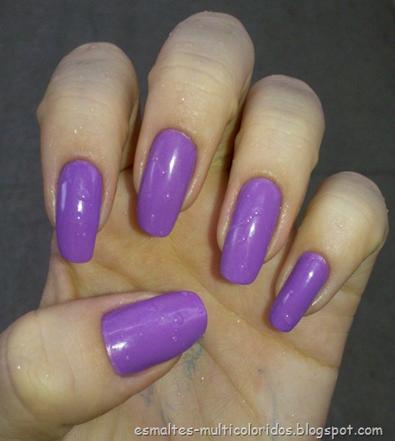 VIOLETA COLORAMA 5
