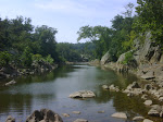 IMG00333-20090810-1124.jpg