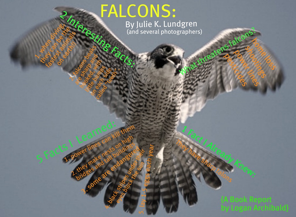 [falcon-poster3.jpg]