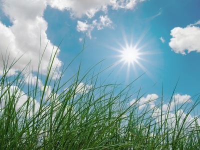 [green%2520grass%2520and%2520sunshine%255B5%255D.jpg]