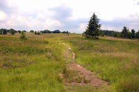 _DSC0044.jpg Photo _DSC0044.jpg Photo