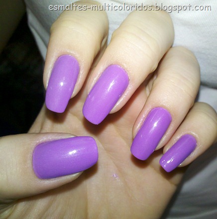 VIOLETA COLORAMA 4