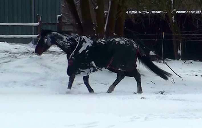 [Schnee17%255B2%255D.jpg]
