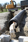 Too bad it's going to be buried underground!  However, it will collect the excess water in the ground and lead it away from the soil.