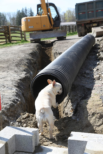 Too bad it's going to be buried underground!  However, it will collect the excess water in the ground and lead it away from the soil.