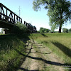 dsc05203.jpg