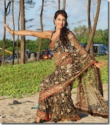 Actress Sanjana Hot Saree Stills