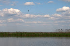 Teufelsmoor: Wasserwandern auf der Beek