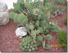 Roy BEAN AND TO EL PASO 039