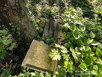 Cmentarz przy ul. Samotnej w Poznaniu