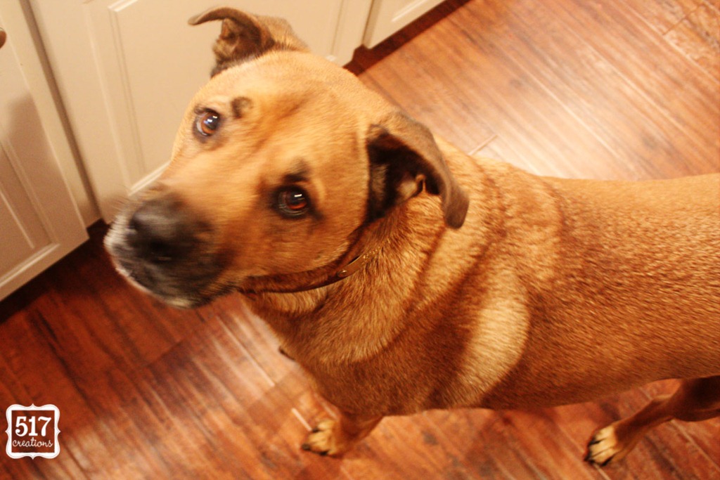 [silver_bell_swag2%255B5%255D.jpg]