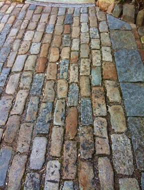 IMG_1224 IMG_1224