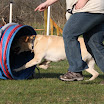 IMG_7773.JPG
