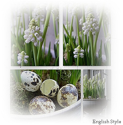 Blogfoto's 143