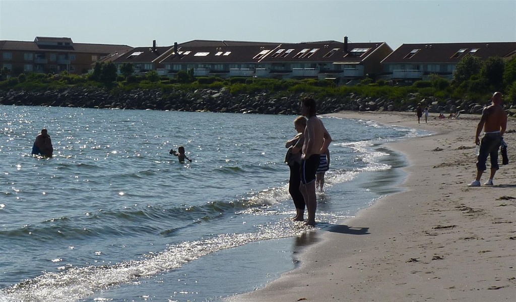 [P1030254-Medium2.jpg]