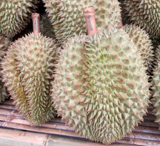 [streetfoodandfruit0213.jpg]