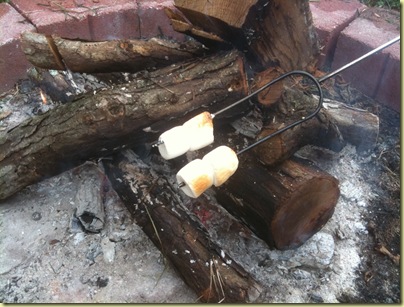 marshmallows nicd