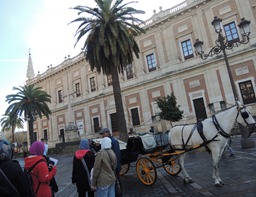 DSCN0582 DSCN0582