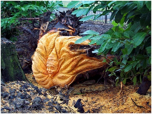 esculturas arte em madeira (40)