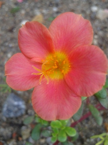 [C360_2011-11-28-09-19-50_org%255B3%255D.jpg]