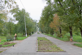 Пизанские столбы на проспекте Ленина
