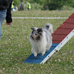 DSC01046.JPG