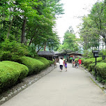 breathtaking pathway towards Edo Wonderland in Nikko, Japan 