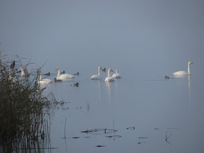 November 2010