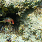 IMG_1594.JPG