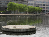 IMG_0694.jpg