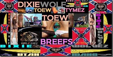DXE TOEW BREEFS