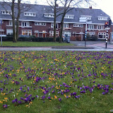 2013-03-19-20-31-19-150_1024x768.JPG