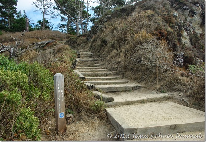 Bird Island Trail, Point Lobos, California Bird Island Trail, Point Lobos, California