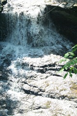 5tate Parks 2011 087