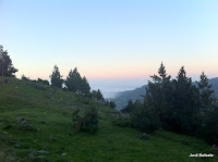 IMG_1146.JPG Photo