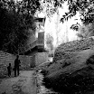 P1010072.jpg