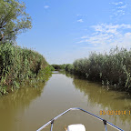 IMG_5732.JPG