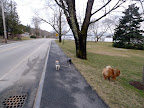 How strange, girls!  As we walk farther away from Skylands, we lose the snow!  Wait, I see a small patch over there!