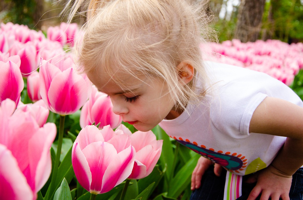 [garvan%2520gardens-23%255B4%255D.jpg]