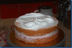 IMG_3189 IMG_3189