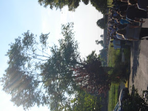 DSC04232.jpg