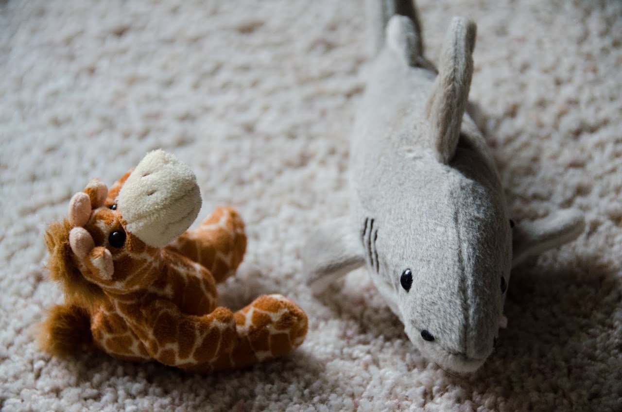 South Africa toys