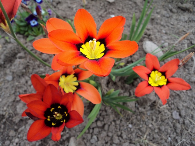 [DSC05296%255B6%255D.jpg]