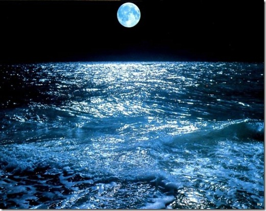 OF Lady Moon and Master Sea OF Lady Moon and Master Sea