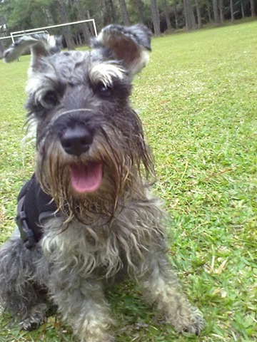 [Patas%252022%2520%2528202%2529%255B4%255D.jpg]