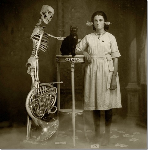 strange-cats-expain-that-5