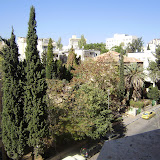 להשכרה דירה בטלביה - ירושלים