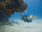Buceo
